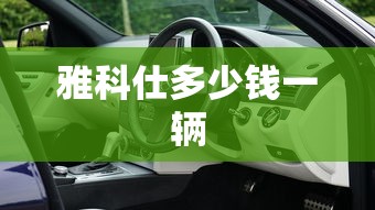 雅科仕多少钱一辆  第1张