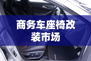 商务车座椅改装市场  第1张