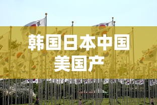 韩国日本中国美国产  第1张