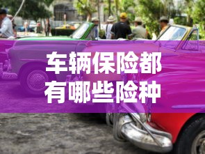 车辆保险都有哪些险种名称和价格  第1张