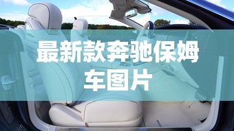 最新款奔驰保姆车图片  第1张