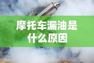摩托车漏油是什么原因  第1张