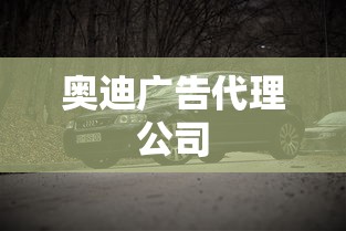 奥迪广告代理公司  第1张