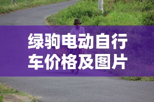 绿驹电动自行车价格及图片  第1张