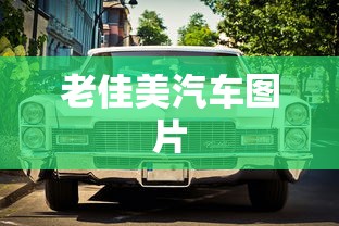 老佳美汽车图片  第1张