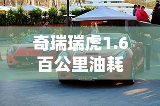 奇瑞瑞虎1.6百公里油耗  第1张