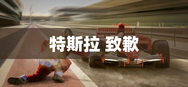 特斯拉 致歉  第1张