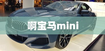 啊宝马mini  第1张