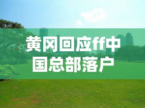 黄冈回应ff中国总部落户  第1张