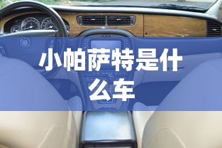 小帕萨特是什么车  第1张