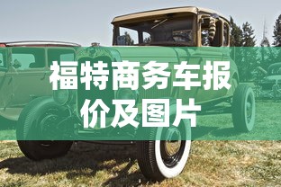 福特商务车报价及图片  第1张