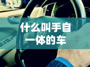 什么叫手自一体的车  第1张