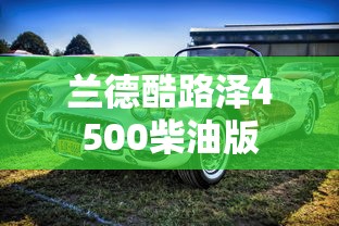 兰德酷路泽4500柴油版  第1张