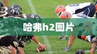 哈弗h2图片  第1张