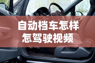 自动档车怎样怎驾驶视频  第1张