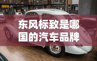 东风标致是哪国的汽车品牌  第1张