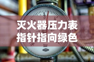 灭火器压力表指针指向绿色  第1张