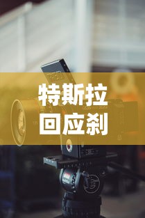特斯拉回应刹车失灵事件视频  第1张
