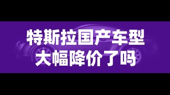特斯拉国产车型大幅降价了吗  第1张