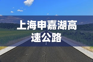 上海申嘉湖高速公路  第1张
