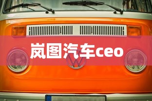 岚图汽车ceo  第1张