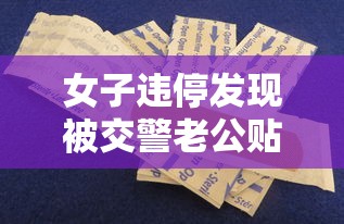 女子违停发现被交警老公贴罚单视频  第1张