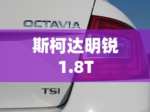 斯柯达明锐1.8T  第1张