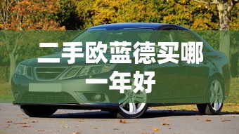 二手欧蓝德买哪一年好  第1张