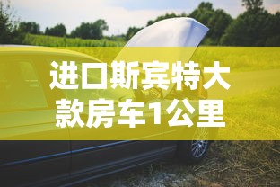 进口斯宾特大款房车1公里需要多少油  第1张