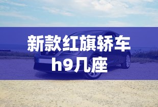 新款红旗轿车h9几座  第1张