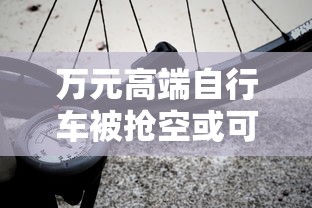 万元高端自行车被抢空或可升值  第1张