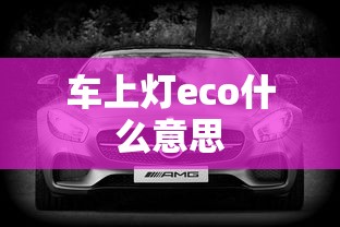 车上灯eco什么意思  第1张