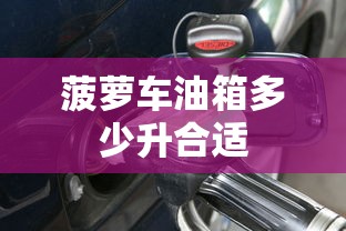 菠萝车油箱多少升合适  第1张