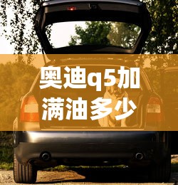 奥迪q5加满油多少升油  第1张