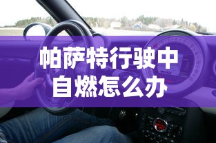 帕萨特行驶中自燃怎么办  第1张