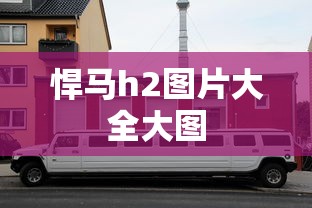 庆铃竞技者  第1张