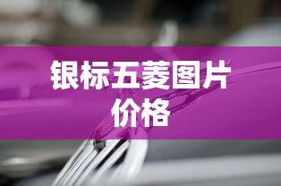 银标五菱图片价格  第1张