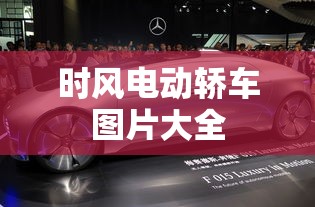 时风电动轿车图片大全  第1张