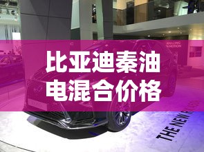 比亚迪秦油电混合价格2021款dmi  第1张