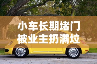 小车长期堵门被业主扔满垃圾怎么办  第1张