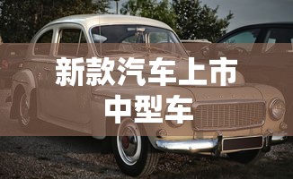 新款汽车上市中型车  第1张