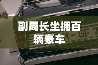 副局长坐拥百辆豪车  第1张