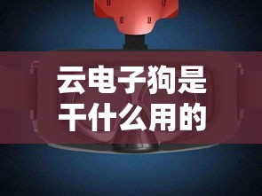 锐放定价  第1张
