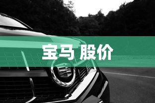 宝马 股价  第1张