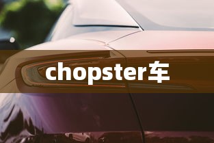 chopster车  第1张