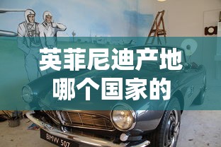 英菲尼迪产地哪个国家的  第1张