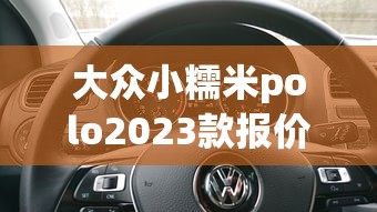 大众小糯米polo2023款报价及图片女士  第1张