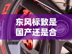 东风标致是国产还是合资车?  第1张