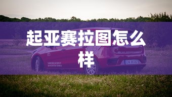 起亚赛拉图怎么样  第1张