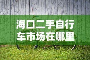 海口二手自行车市场在哪里  第1张